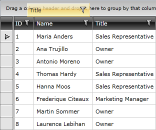 Telerik WPF DataGrid Basic Grouping 1