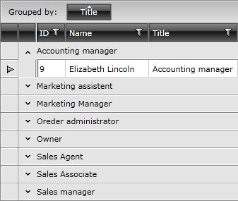 Telerik WPF DataGrid Basic Grouping 2